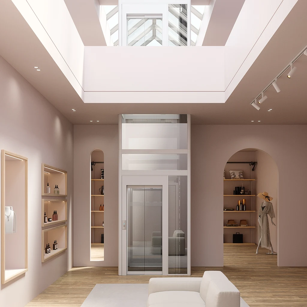 Eltec Access, Homelift, Silber