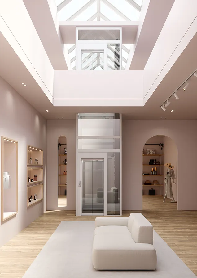 Moderner Homelift Aufzug in einem stilvollen Wohnraum mit viel Tageslicht